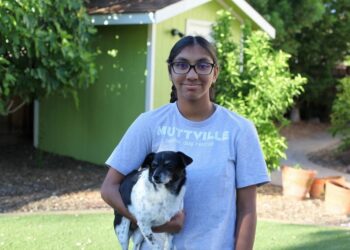 How one girl helped so many elderly dogs