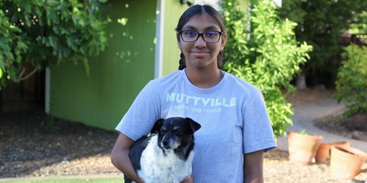 How one girl helped so many elderly dogs