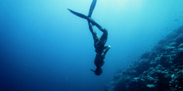 Physiological Changes that Occur in the Body to Enable Mammalian Diving Reflex