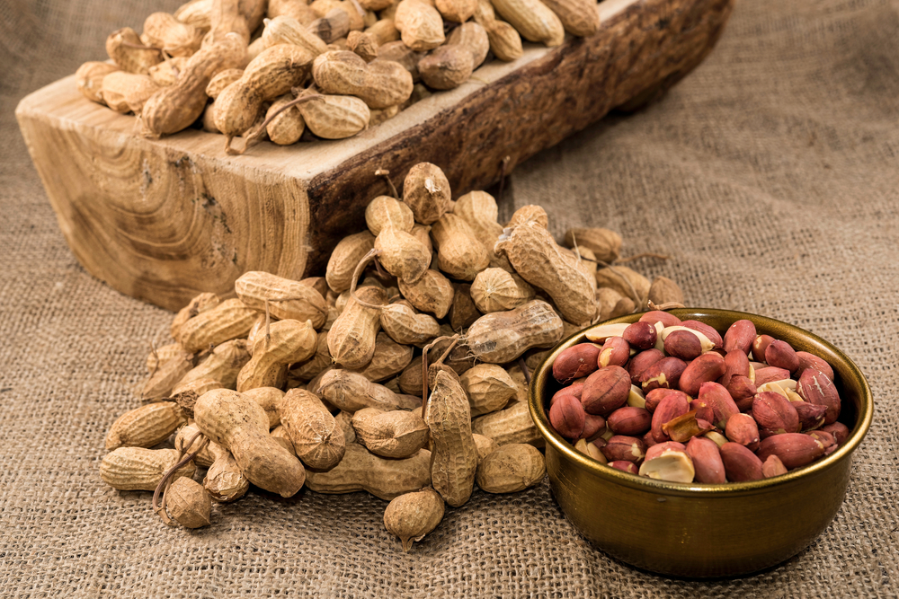 If peanuts aren’t nuts, what are they?
