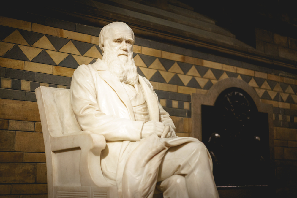 The tortoise muse of Darwin passes away